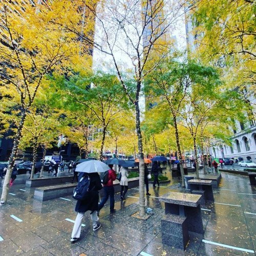 Zuccotti Park